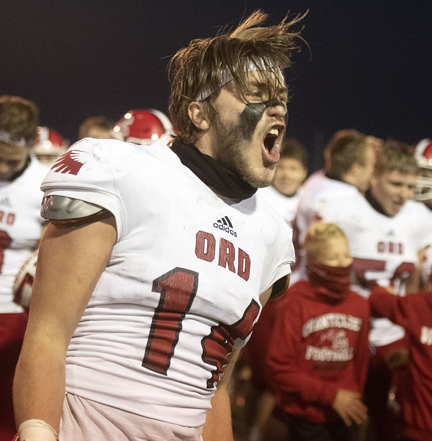 Ord vs. Archbishop Bergan, 11.20